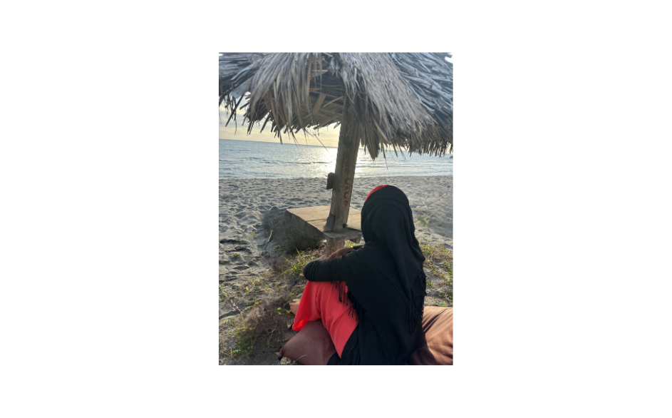 Dina Farah — à propos